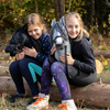 Hobby horse koń na patyku kiju dla dziecka duży A3