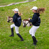 Skippi Hobby Horse z kantarem - Biszkopt - A3 HH - prezent na dzień dziecka