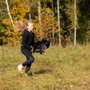 Zestaw Skippi - Hobby Horse Gniady - Derka i nauszniki - szary i brąz