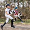 Hobby Horse z kantarem - łaciaty - appaloosa - czarno biały - dla dziecka