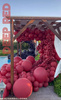Balony lateksowe Deep Red, czerwony 45 cm, 25 szt.