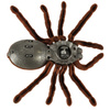 Pająk TARANTULA Zdalnie Sterowany robot na pilota + PILOT