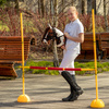 Zestaw Skippi - Hobby Horse Gniado - srokaty i przeszkoda do skakania 135 cm